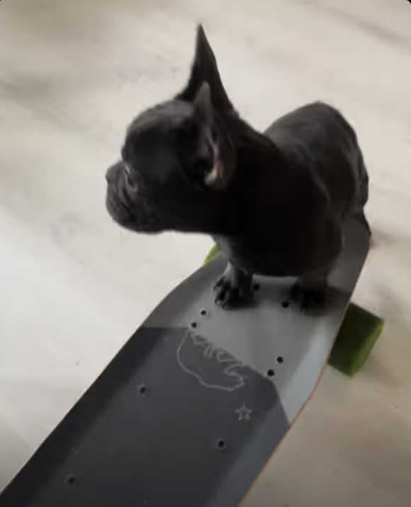 Intro to skateboarding